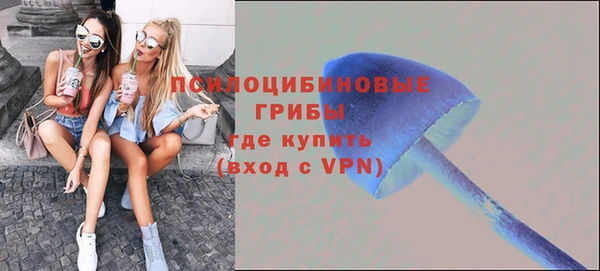 гидра Балабаново
